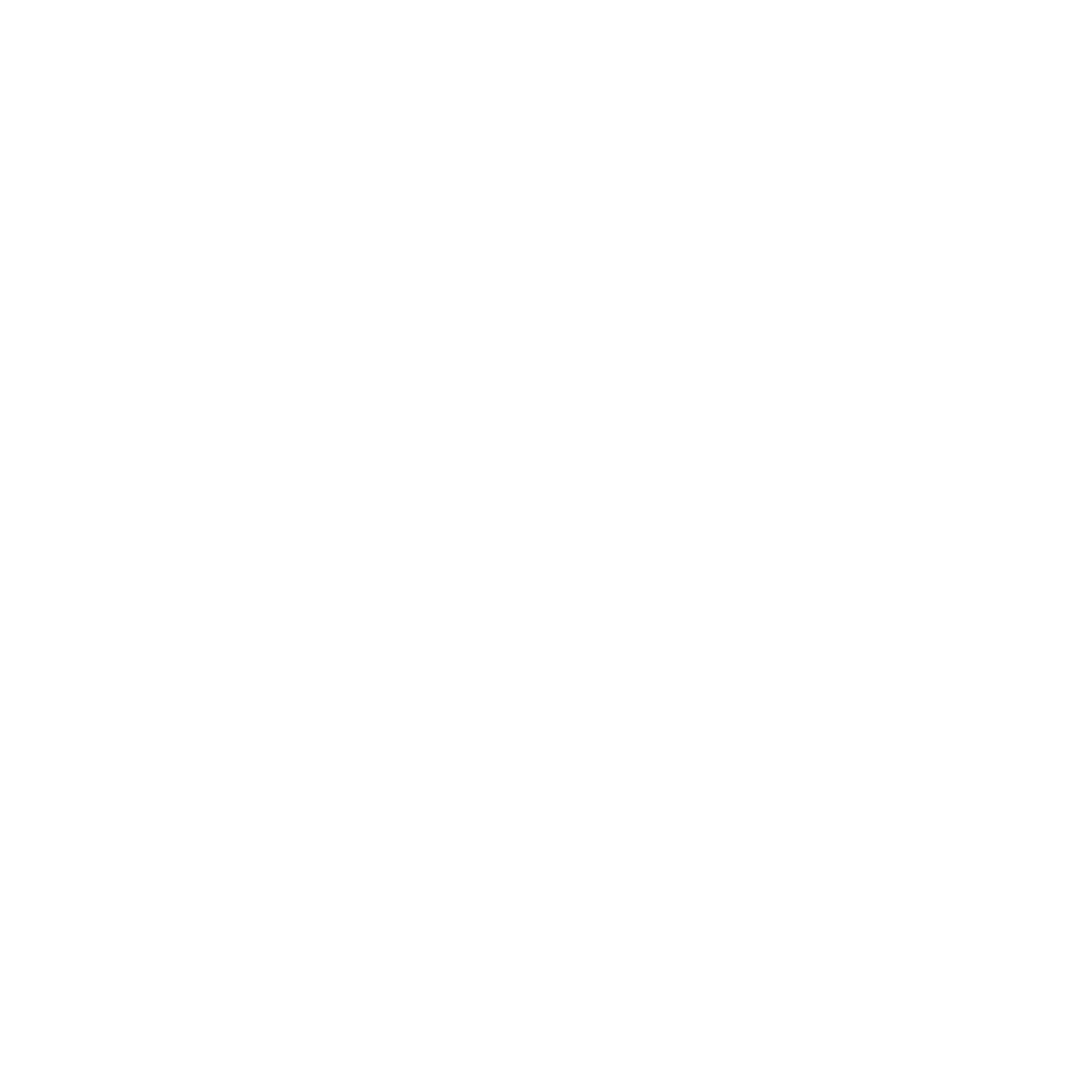 Escudo Chillón FS