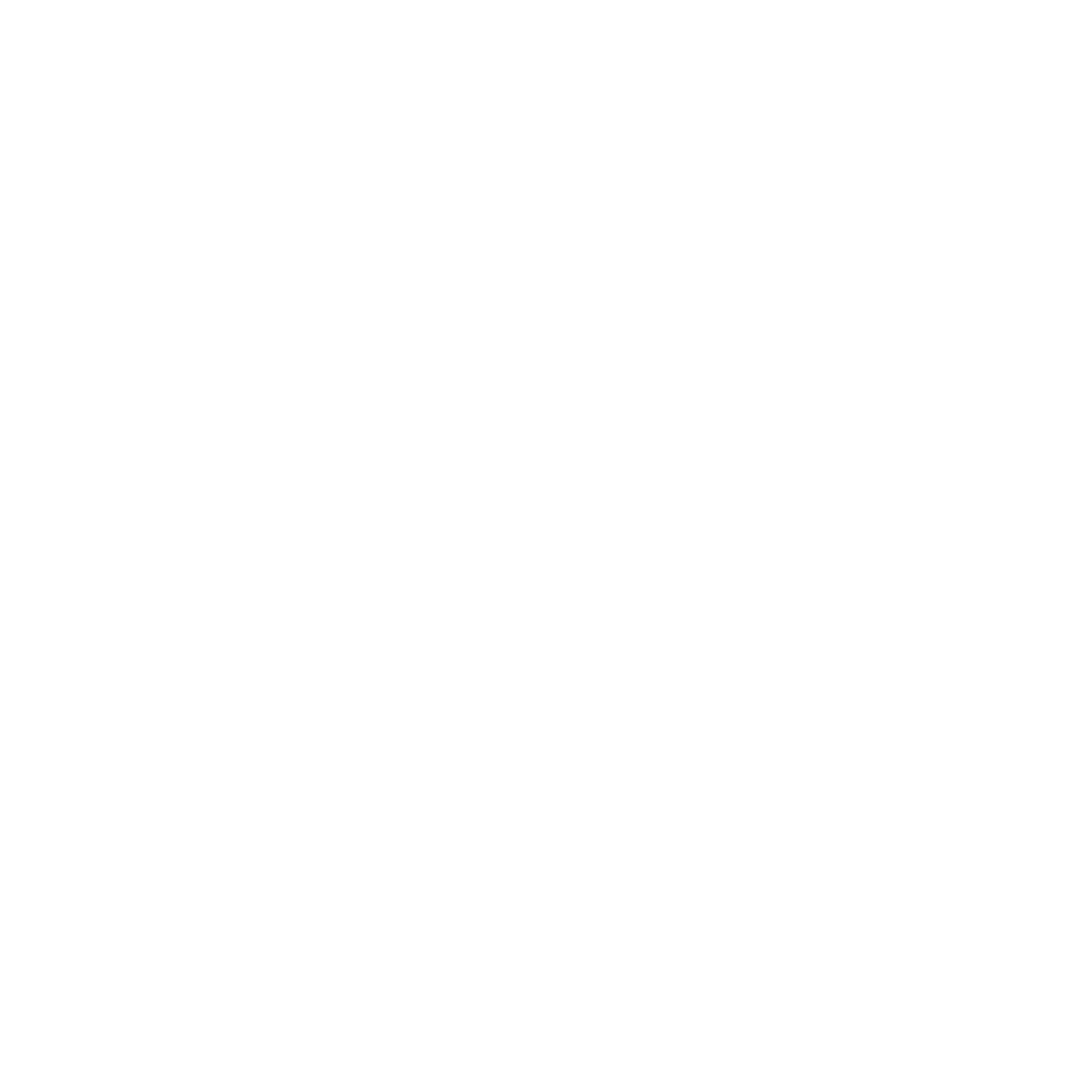 Escudo CD San Carlos FS